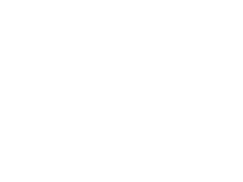 Witness